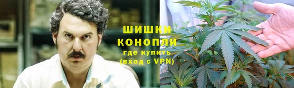 прущая мука Богданович