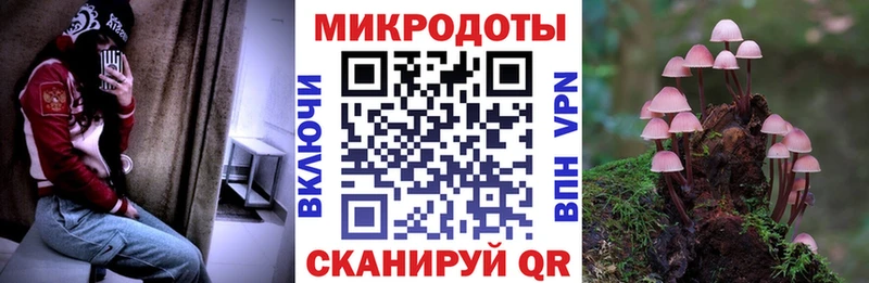 Псилоцибиновые грибы ЛСД  Купить  Тарко-Сале 